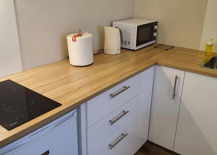 Bitenu Apartamento Vilna